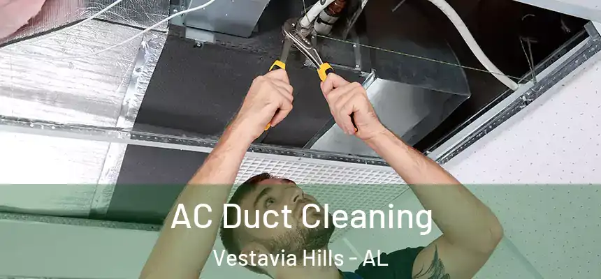  AC Duct Cleaning Vestavia Hills - AL