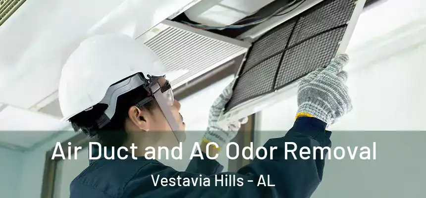 Air Duct and AC Odor Removal Vestavia Hills - AL