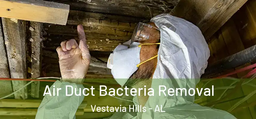  Air Duct Bacteria Removal Vestavia Hills - AL
