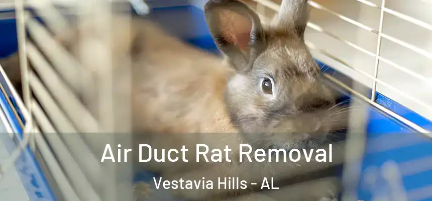  Air Duct Rat Removal Vestavia Hills - AL