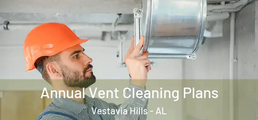 Annual Vent Cleaning Plans Vestavia Hills - AL