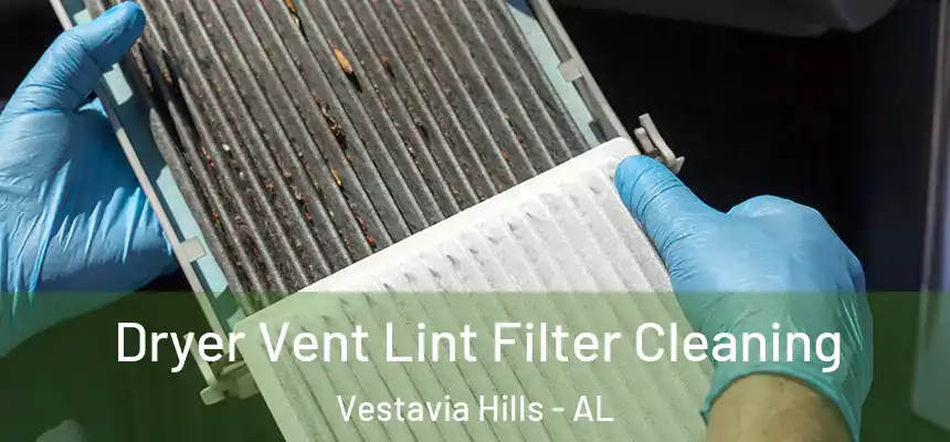  Dryer Vent Lint Filter Cleaning Vestavia Hills - AL