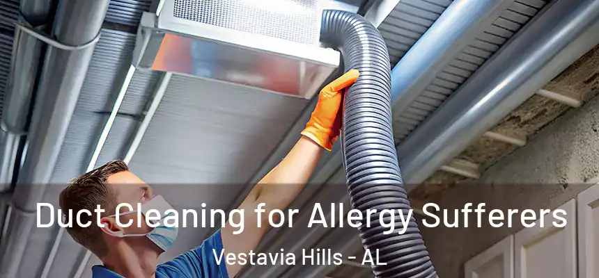  Duct Cleaning for Allergy Sufferers Vestavia Hills - AL
