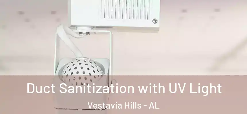 Duct Sanitization with UV Light Vestavia Hills - AL