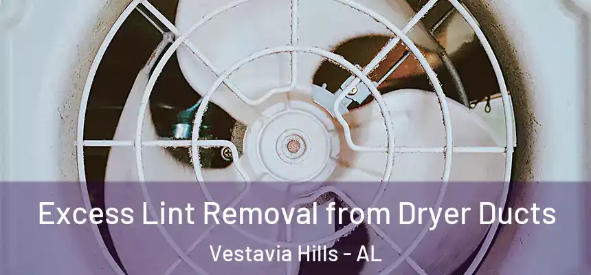  Excess Lint Removal from Dryer Ducts Vestavia Hills - AL
