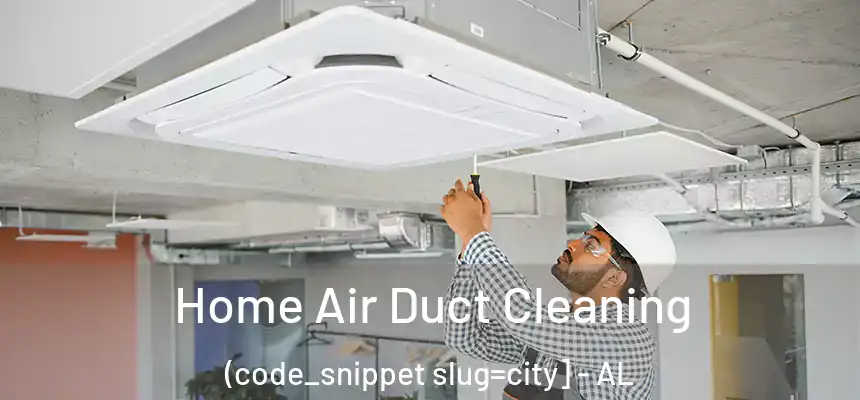  Home Air Duct Cleaning (code_snippet slug=city] - AL