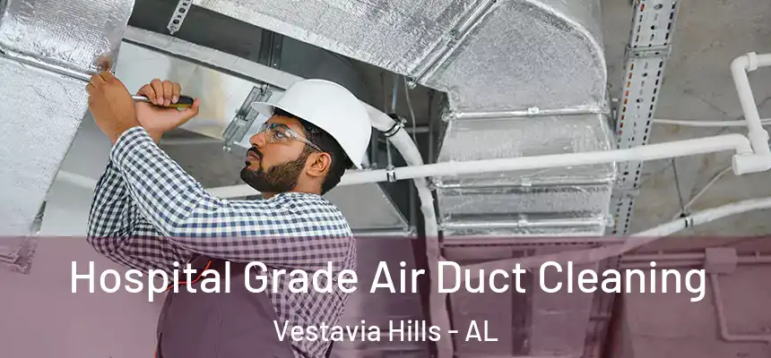  Hospital Grade Air Duct Cleaning Vestavia Hills - AL