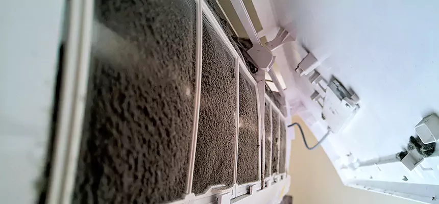 Preventive Air Duct Bacteria Removal in Vestavia Hills