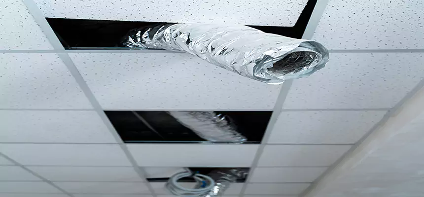 Our Air Duct Pet Hair Removal Services in Vestavia Hills, AL