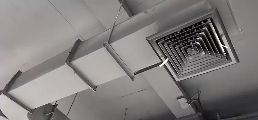 Restorative Allergy Relief Vent Cleaning – Coil, Blower & Housing Detail in Vestavia Hills