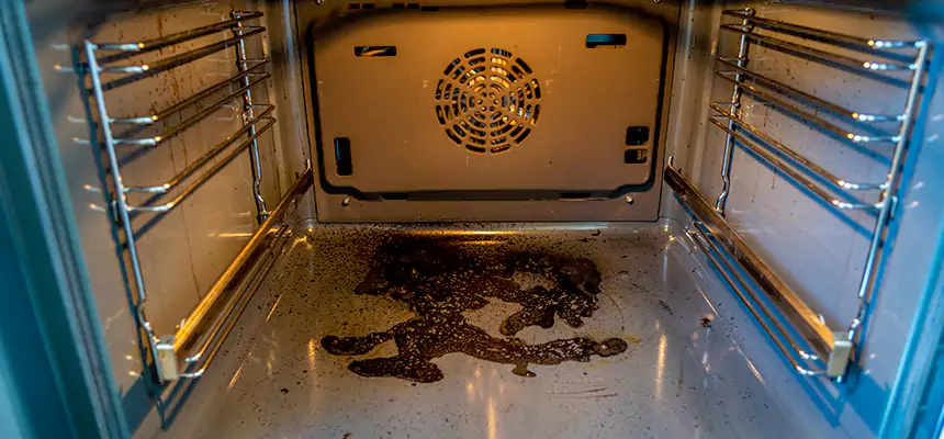 Our Dryer Vent Mold Cleaning Services in Vestavia Hills, AL