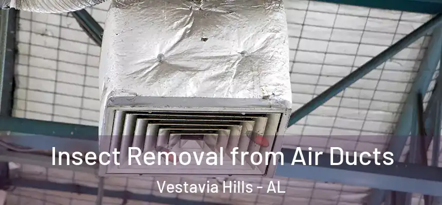  Insect Removal from Air Ducts Vestavia Hills - AL