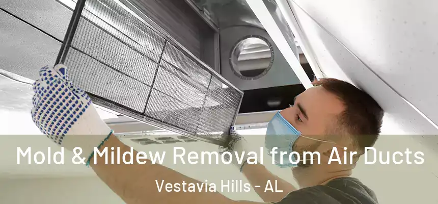  Mold & Mildew Removal from Air Ducts Vestavia Hills - AL