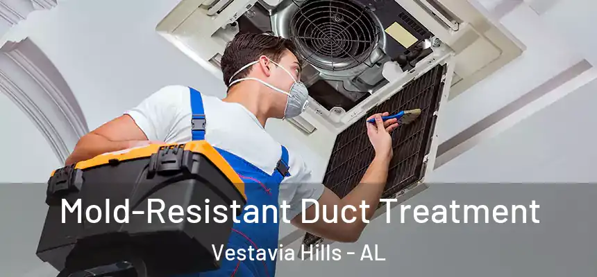  Mold-Resistant Duct Treatment Vestavia Hills - AL