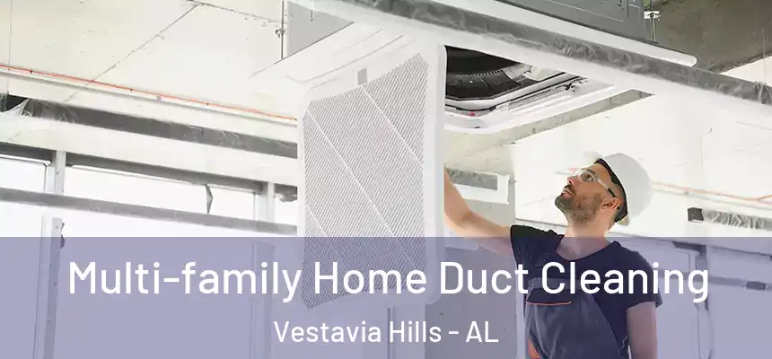  Multi-family Home Duct Cleaning Vestavia Hills - AL