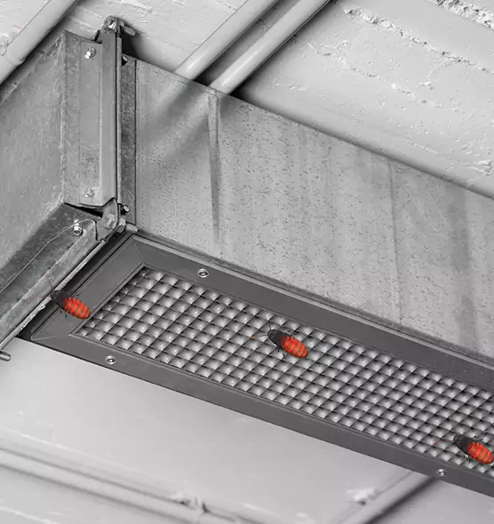 About Air Duct Cockroach Removal in Vestavia Hills, AL