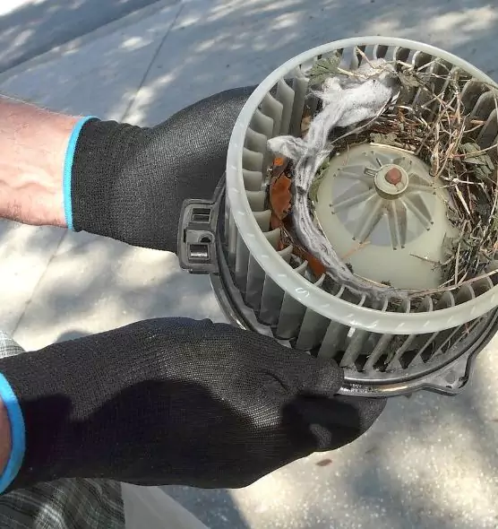 About Air Duct Mice Removal in Vestavia Hills, AL