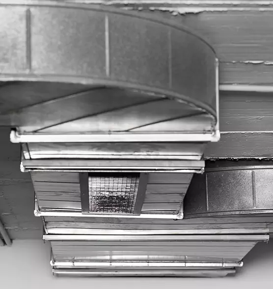 Professional Air Duct Pet Hair Removal in Vestavia Hills, AL