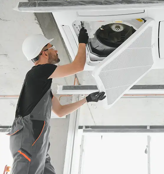 About Air Duct Rodent Removal in Vestavia Hills, AL