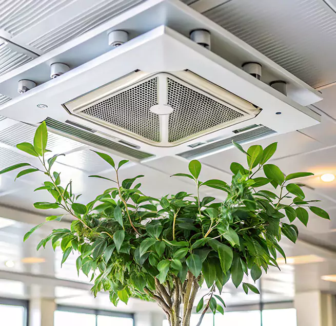 Why Homeowners & Businesses Trust Us in Vestavia Hills, AL