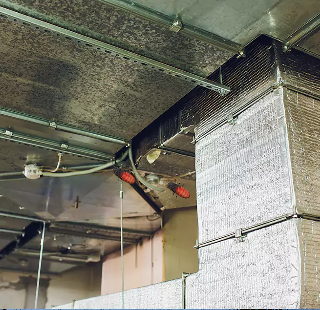 Why Homeowners & Businesses Trust Us Vestavia Hills, AL?