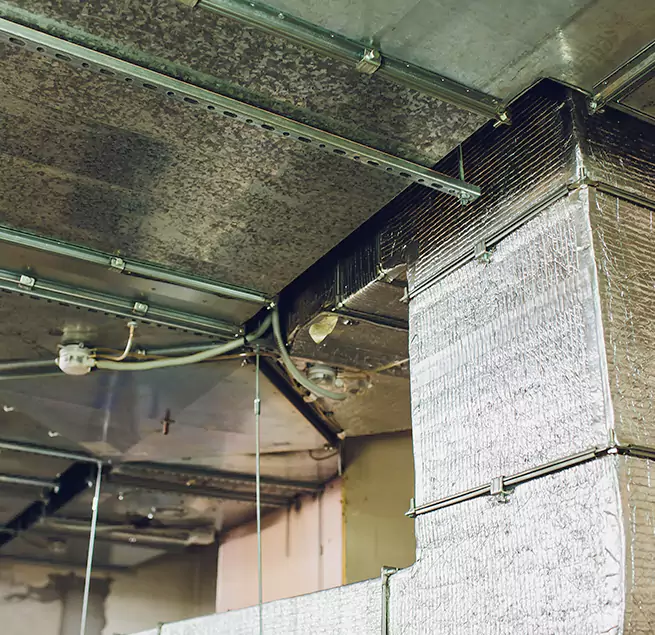 Why Homeowners & Businesses Trust Us in Vestavia Hills, AL?