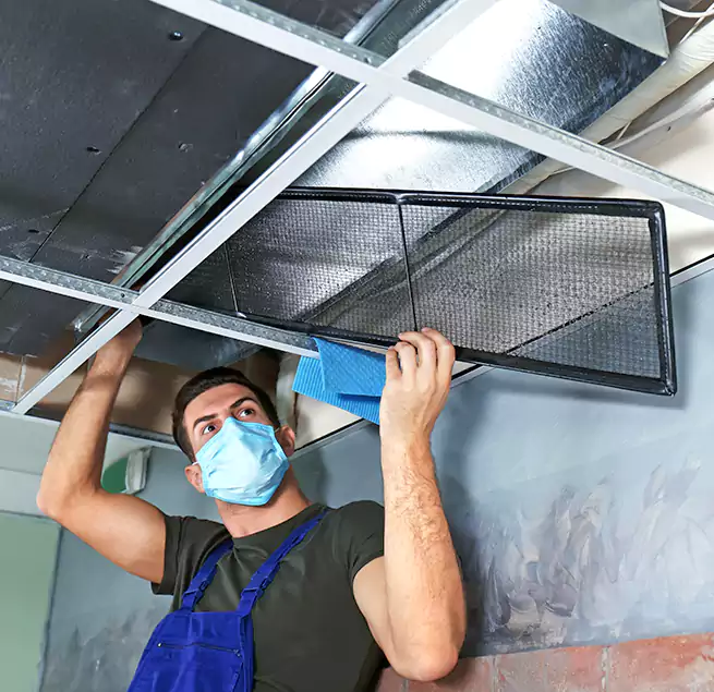 Why Homeowners Businesses Trust Us in Vestavia Hills, AL