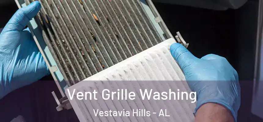  Vent Grille Washing Vestavia Hills - AL