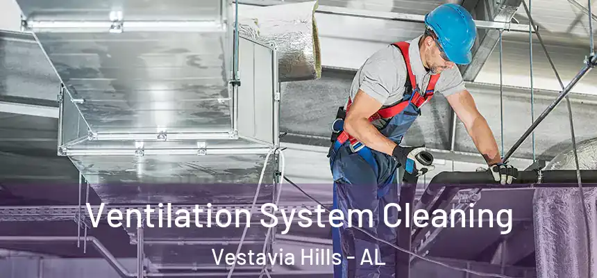  Ventilation System Cleaning Vestavia Hills - AL