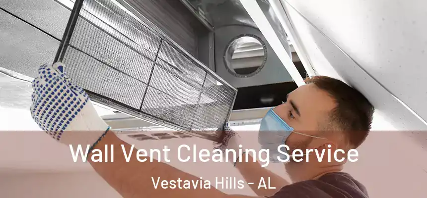 Wall Vent Cleaning Service Vestavia Hills - AL
